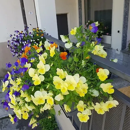 Vittoria * Luino